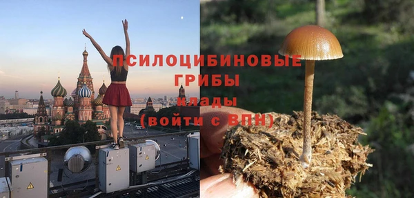 амф Алексин