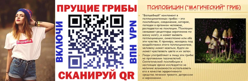 Псилоцибиновые грибы Psilocybe  OMG ссылка  Медынь 