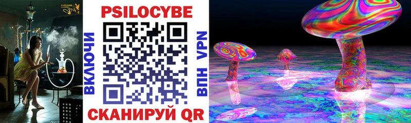 Псилоцибиновые грибы мухоморы Медынь